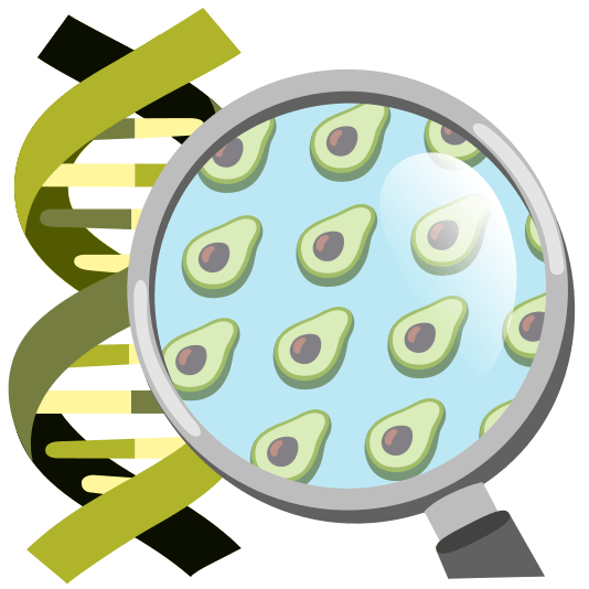 1. Молекулярний світ їжі