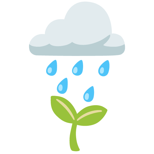 2. Життя рослин